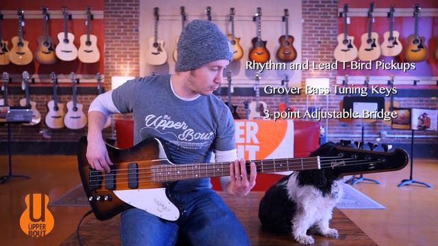Slappa 'da Bass! | Gibson Thunderbird Bass Demo смотреть онлайн