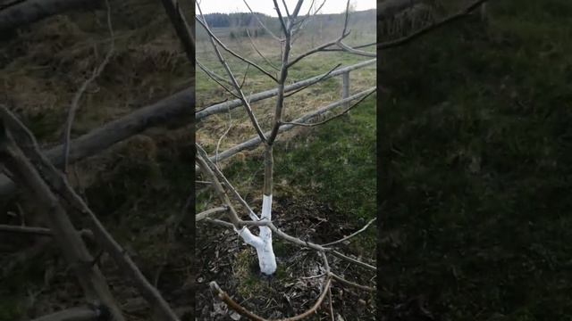 созидание смотреть онлайн