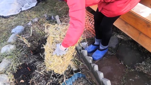 07.03.2020 Дача. Мы открываем розы ? смотреть онлайн