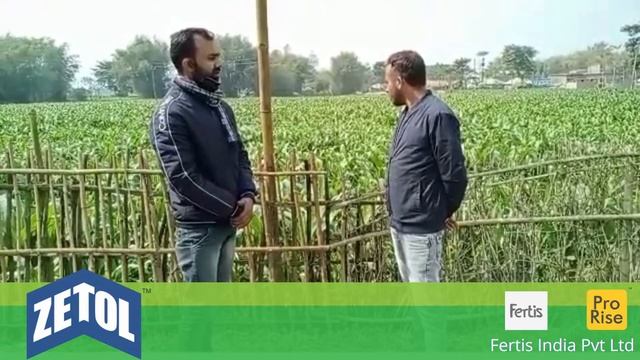 Bihar farmer Md Sattar used Zetol ( 11.44.11 ) and got good results | Fertis India Pvt Ltd смотреть онлайн