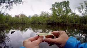 Как ловить щуку в траве, ряске и кувшинках? Летняя ловля щуки | ВихровLIFE