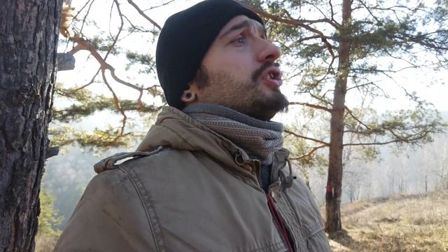 "Тайны сосновой смолы" (Собираю сосновую смолу) смотреть онлайн