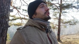 "Тайны сосновой смолы" (Собираю сосновую смолу)