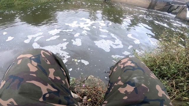 Bloody Mouse се доказа за 10 минути. смотреть онлайн