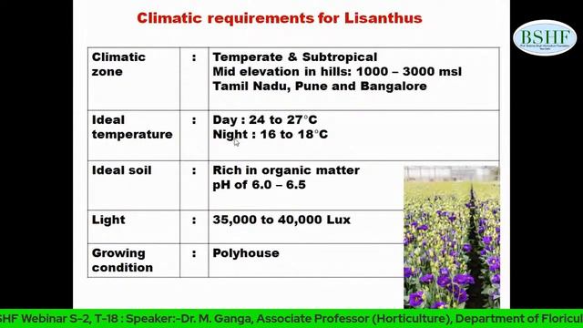 BSHF Webinar S-2,T-18 : Cultivation of New Age Flowers & Uses, Lisianthus, Limonium, Gypsophila