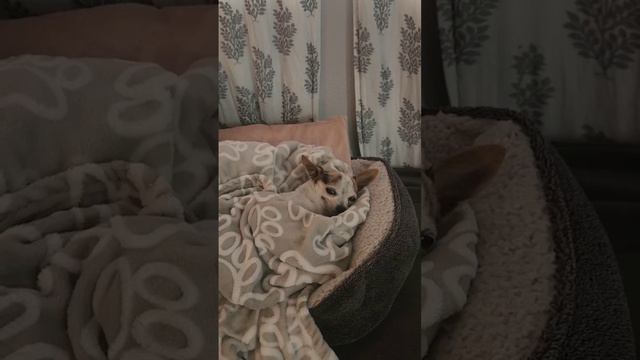 Очень уютно ☺️