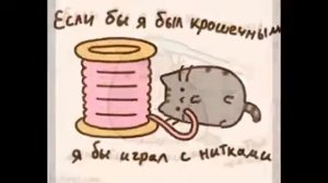 Приключения кота пушина