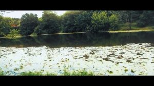 ПЕСНЯ ДО ГЛУБИНЫ ДУШИ! ОТЕЦ ТЕБЕ Я БЛАГОДАРЕН В ЭТОЙ ЖИЗНИ!