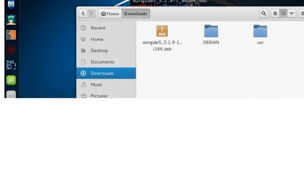 Installing Wing IDE on Kali Linux 2.0