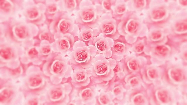 4K Romantic Pink Rose Flower Video Background || Love,Romantic,Wedding motion video Background loop смотреть онлайн