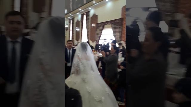 Туй Самарканд смотреть онлайн
