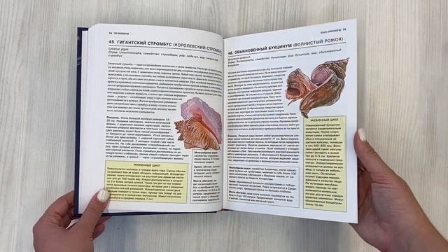 Подводный мир. Большая иллюстрированная энциклопедия смотреть онлайн