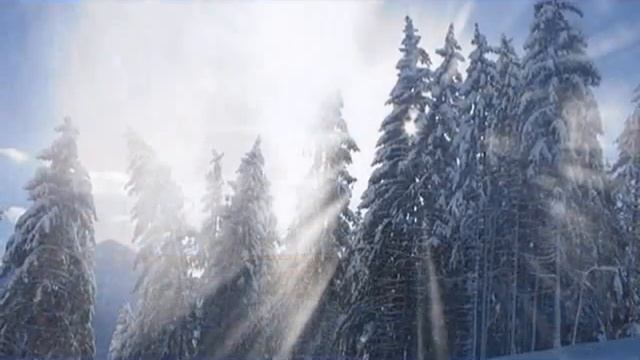 И.С.Бах Органная хоральная прелюдия фа-минор. смотреть онлайн