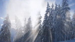 И.С.Бах  Органная  хоральная прелюдия фа-минор.