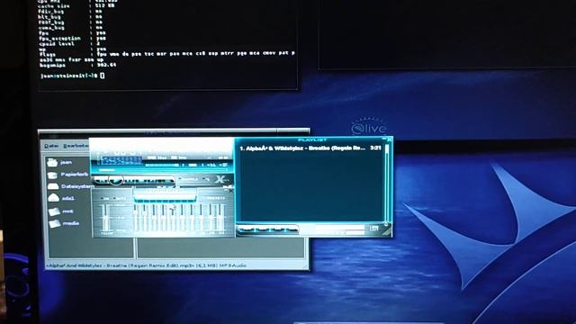 Elive Linux on Pentium 3 and 256MB RAM смотреть онлайн
