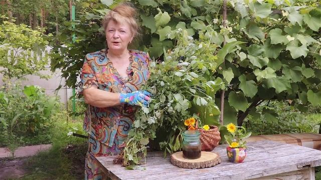 ?Трава чистотіл - потужний лікарський засіб, лікування, застосування, властивості смотреть онлайн
