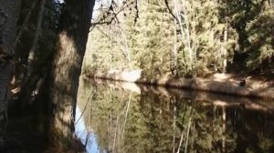 Серия 58. Фидер. Открытие сезона. Рыбалка с Нормундом Грабовскисом.