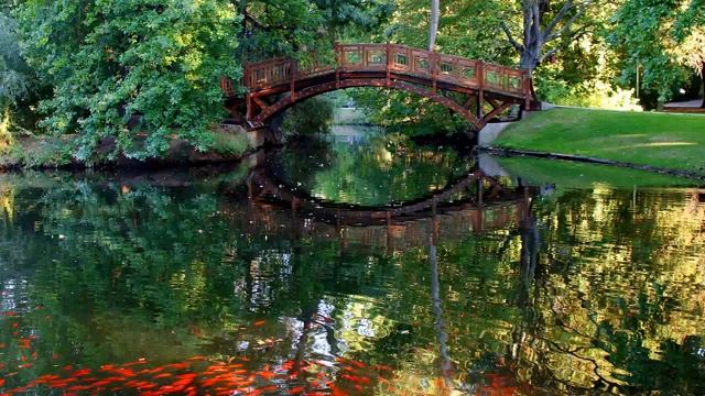 Роберт Адамс -203. Вы будете целой вселенной, озвучивает Nikosho смотреть онлайн