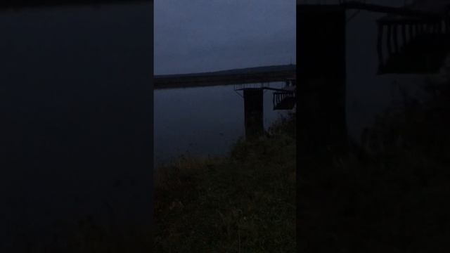 Рыбалка Муром Молотицкие Пруды 9 Ноября 2022... смотреть онлайн