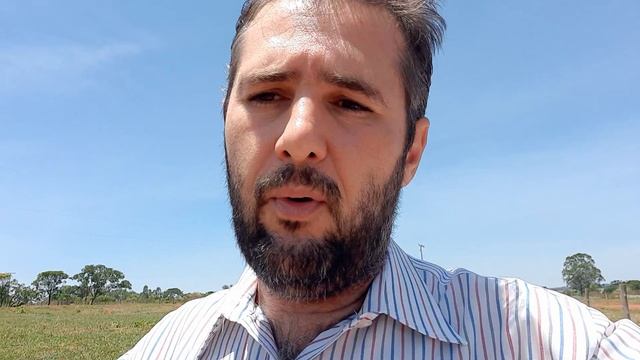 Perito nunca reduza o valor da proposta sem justificativa. смотреть онлайн