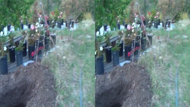 Sony HDRTD-10 3D convert test смотреть онлайн