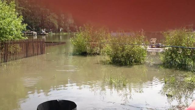 Ловля сома на Калиновке смотреть онлайн