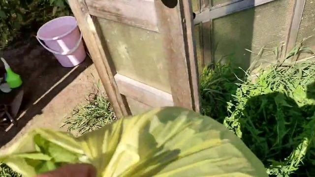 Дизайн и Разработка Веб-сайтов