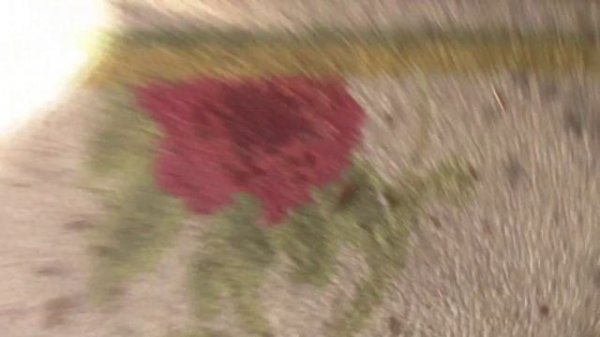 Ford Fusion EVAP Leak Fix P0456