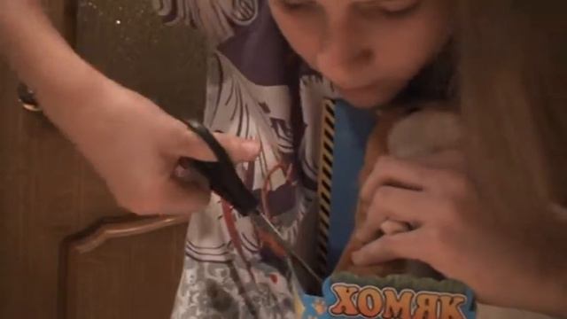 Видео Обзорчик на говорящего хомяка) смотреть онлайн