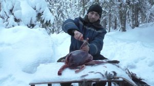 КАК РАЗДЕЛАТЬ ГЛУХАРЯ.Видео для начинающих охотников