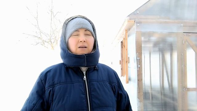 ЦЕНА И СРОКИ ДОСТАВКИ ПОСЫЛОК  мой птичий уголок в феврале ОТПРАВКА ЯЙЦА БЕЗ ОЧЕРЕДИ