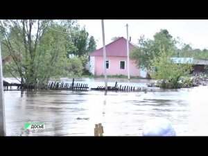 «Будни» (новости, 17.05.17г., Бийское телевидение)