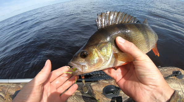 За окунем через всё озеро. Первый большой переход на пвх азимут эверест 385 и ямаха 9.9 смотреть онлайн