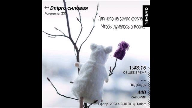1- 3 02 2023 г Бег, прогулки, силовая, пилатес и конечно йога смотреть онлайн