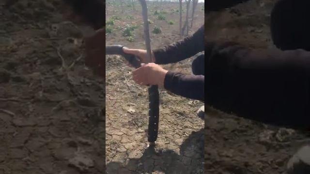Намотка спирали Urdugarden смотреть онлайн