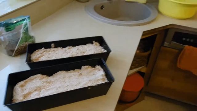 72.Печём пшеничный хлеб часть 2 смотреть онлайн