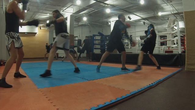 Box training Dr.Loder Одинцово 21.02.19 смотреть онлайн