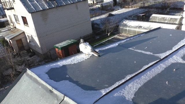 чужак ?️ . сильный ветер . смотреть онлайн