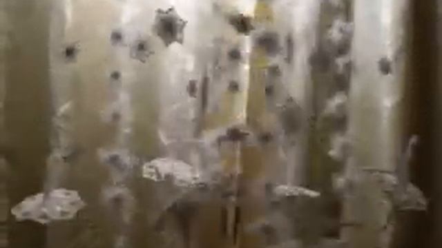 МОБИЛЬ "КРУЖЕВНОЙ БАЛЕТ".AVI смотреть онлайн