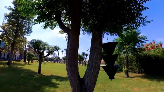 Turkey Sorgun 2019 Paloma Orenda смотреть онлайн
