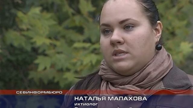 Узелок на память для рыболовов-любителей смотреть онлайн