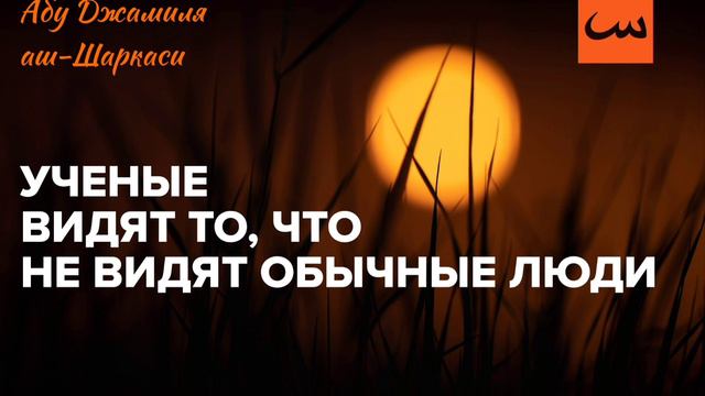 Учёные видят то, что не видят обычные люди - Абу Джамиля аш-Шаркаси