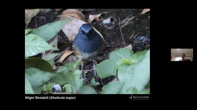 Southern India with Stephan Lorenz смотреть онлайн