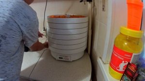 Как сушить абрикосы в электро сушилке на курагу