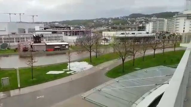 С высоты 3 этажа Сочи Парк Отель апрель 2021 смотреть онлайн