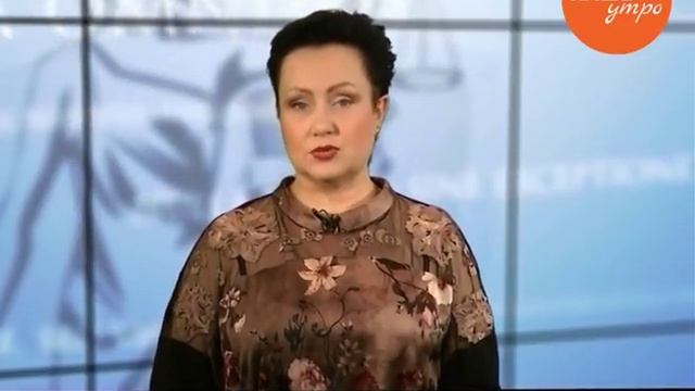 Как оплатить штрафы ГИБДД со скидкой 50% смотреть онлайн