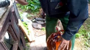 Капельный полив из пивной кеги.