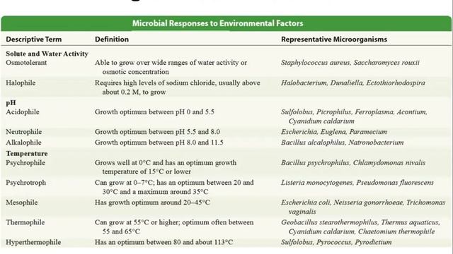 Techniques in Microbiology Lecture 15 Classical Methods for Identification of Microorganisms смотреть онлайн