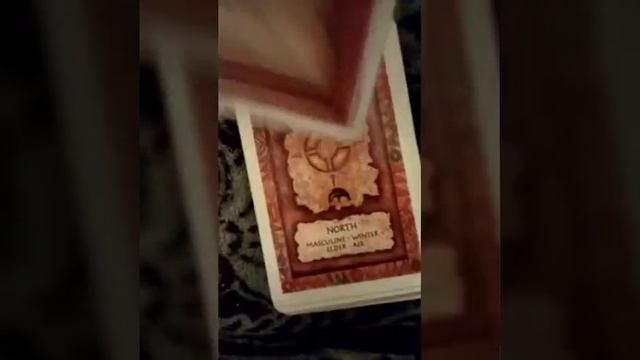 Shaman Wisdom Oracle cards flip through смотреть онлайн