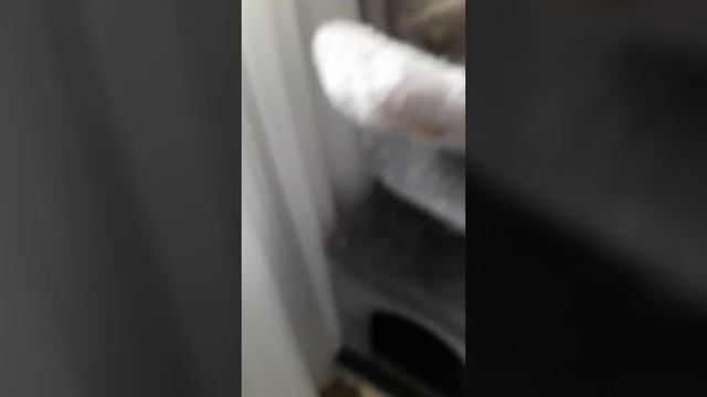 Как живет Наш кот ютубер Ники смотреть подписчиков я не могу разговаривать на этой симке смотреть онлайн